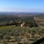 Dry Vineyards