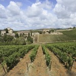 Dusty Vineyards